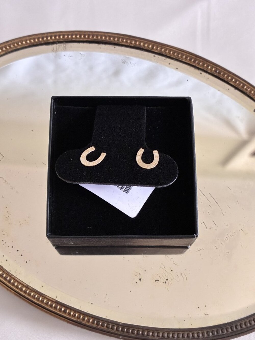 Cute Horseshoe Earrings